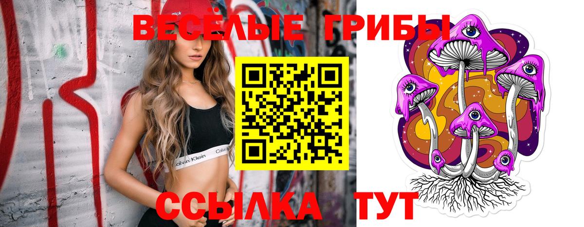Псилоцибиновые грибы Cubensis Богородицк